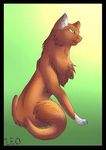 What do you think of Squirrelflight? What do you think of Squirrelflight?