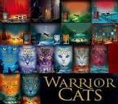 Which warrior cat book is the worst (Seriese 1) Which warrior cat book is the worst (Seriese 1)
