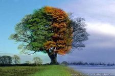 What is your favorite Season, I love Fall, so that's why I'm making this... What is your favorite Season, I love Fall, so that's why I'm making this...