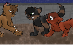 What warrior cat rouge do you like the best? What warrior cat rouge do you like the best?