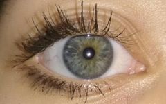Which eye is prettiest? Which eye is prettiest?