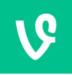 What vine is your favourite? What vine is your favourite?