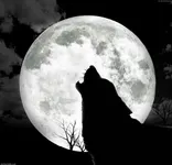 Wolves are... Wolves are...