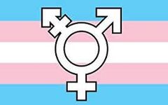Do You Think Transgender Students Should Be Able to Use the Bathroom of Their Gender? Do You Think Transgender Students Should Be Able to Use the Bathroom of Their Gender?