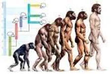 how advanced do you think people will get? how advanced do you think people will get?