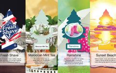 Which Little Trees car air freshener of late 2019 is the best? Which Little Trees car air freshener of late 2019 is the best?