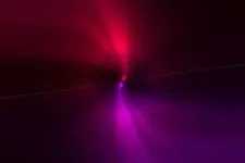 Red or purple? Red or purple?