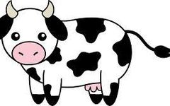 Do you like cows? Do you like cows?
