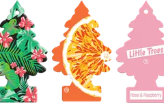 What's the best Little Trees UK car freshener?