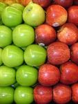 Red or Green? Red or Green?
