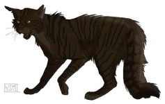 Who is the awesomest warrior cat Who is the awesomest warrior cat