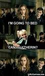 witch harry potter boy do you like best (girls only) witch harry potter boy do you like best (girls only)