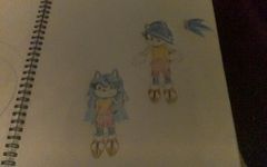 Which Drawing (1)? Which Drawing (1)?
