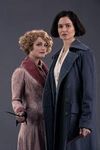 Tina vs Queenie Goldstein (Fantastic Beasts and Where to Find Them) Tina vs Queenie Goldstein (Fantastic Beasts and Where to Find Them)