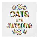 favorite type of cat?