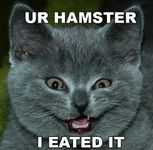 Do you think Creepypasta is stupid? Do you think Creepypasta is stupid?