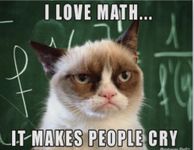 Do you love grumpy cat? Do you love grumpy cat?