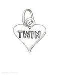 Who are the best twins? Who are the best twins?