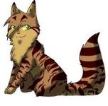 Crookedstar or Leopardstar? Crookedstar or Leopardstar?