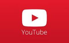Which Youtuber type do you like better? Which Youtuber type do you like better?