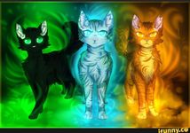 Hollyleaf, Lionblaze, or Jayfeather? Hollyleaf, Lionblaze, or Jayfeather?