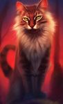 Favorite kittypet? Favorite kittypet?