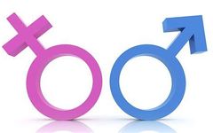 Which Gender Dimorphism Pokemon Lines? Which Gender Dimorphism Pokemon Lines?