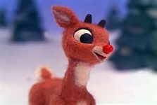 Rudolph the red nose idiot story poll Rudolph the red nose idiot story poll