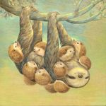 Which animal do you like more: Sloths or Hedgehogs? Which animal do you like more: Sloths or Hedgehogs?