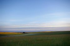 What is your favorite time of day? What is your favorite time of day?