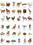 What animal do you have? What animal do you have?