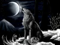 Which keep calm Wolf picture? Which keep calm Wolf picture?