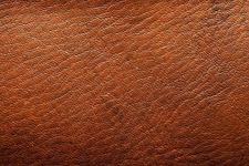 Which Little Trees Leather car freshener is better? Which Little Trees Leather car freshener is better?