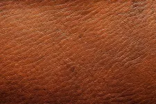 Which Little Trees Leather car freshener is better? Which Little Trees Leather car freshener is better?