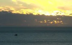 You are alone on a boat, in the middle of the ocean. Would you kill and eat your cat / dog or would starve to death? You are alone on a boat, in the middle of the ocean. Would you kill and eat your cat / dog or would starve to death?