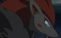 How much do you love Zoroark? How much do you love Zoroark?