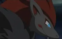 How much do you love Zoroark? How much do you love Zoroark?