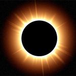 Dark or Light Dark or Light