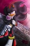 Which girl is better for Shadow The Hedgehog? Which girl is better for Shadow The Hedgehog?