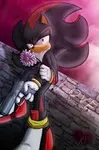 Which girl is better for Shadow The Hedgehog? Which girl is better for Shadow The Hedgehog?