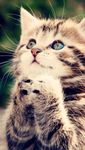 Favorite animal? Favorite animal?