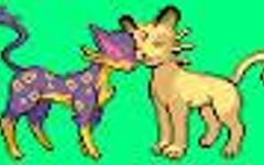What do you think of Persian and Liepard as a couple or would you rather have them seperate? What do you think of Persian and Liepard as a couple or would you rather have them seperate?