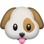 Animal Poll Animal Poll