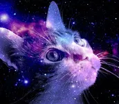 Do you like Purple? Do you like Purple?