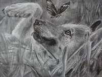 How would you feel about having a wolf pet? How would you feel about having a wolf pet?