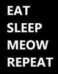 Eat Sleep Meow Repeat Eat Sleep Meow Repeat