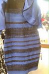 What colors do you see on this dress? What colors do you see on this dress?