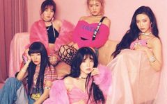 Who is your Red Velvet bias? Who is your Red Velvet bias?