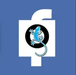 Qfeast or Facebook? Qfeast or Facebook?