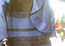 What Color Is This Dress? What Color Is This Dress?